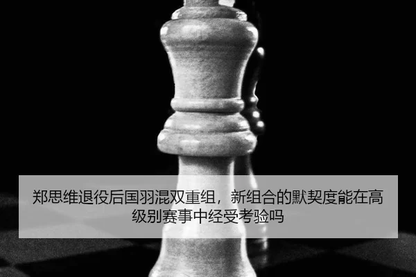 郑思维退役后国羽混双重组，新组合的默契度能在高级别赛事中经受考验吗